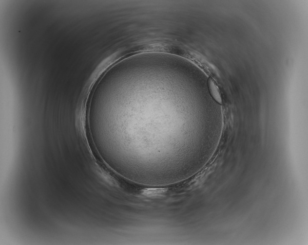 X0000114600051200910191626