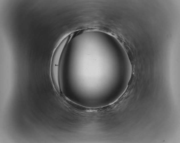 X0000114600052200910191626