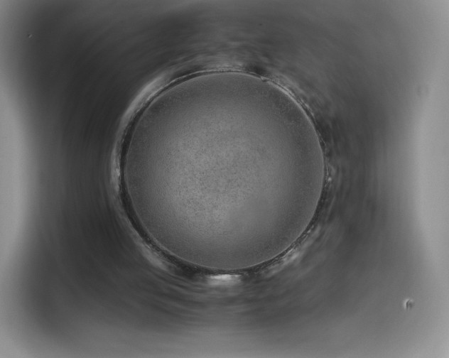 X0000114600053200910191626