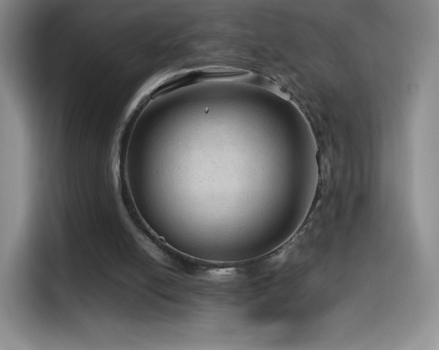 X0000114600054200910191626