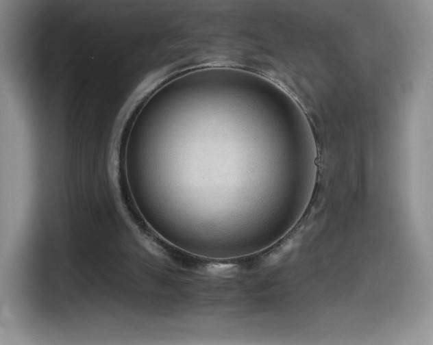 X0000114600055200910191626