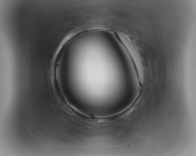 X0000114600056200910191626