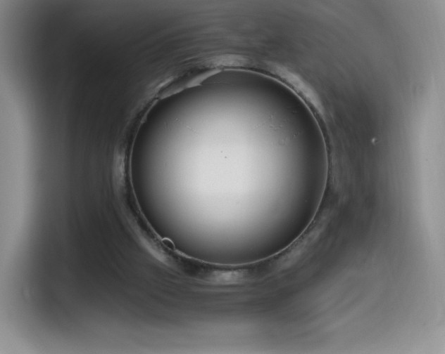 X0000114600057200910191626