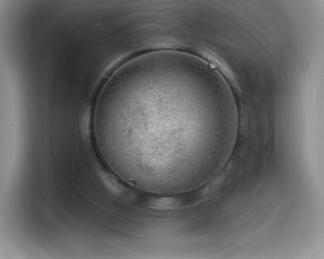 X0000114600058200910191626