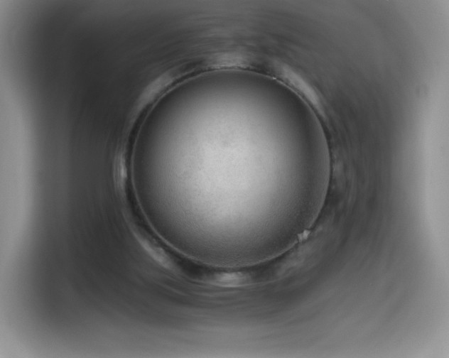 X0000114600059200910191626