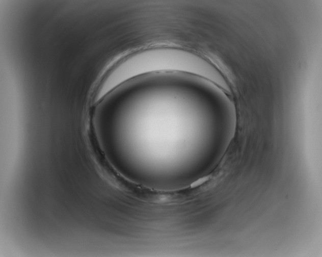 X0000114600060200910191626