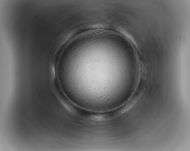 X0000114600061200910191627