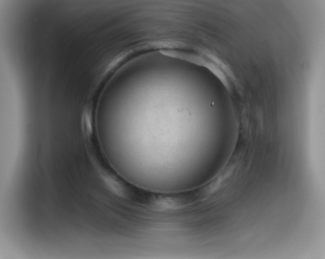 X0000114600062200910191627