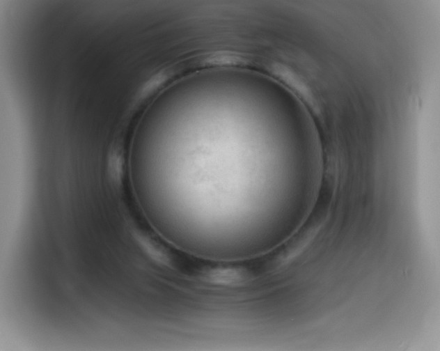 X0000114600063200910191627