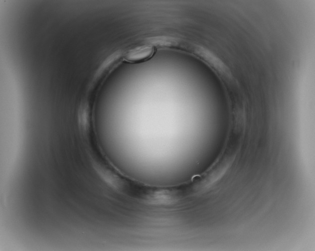 X0000114600064200910191627