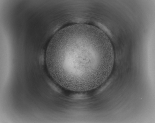 X0000114600065200910191627