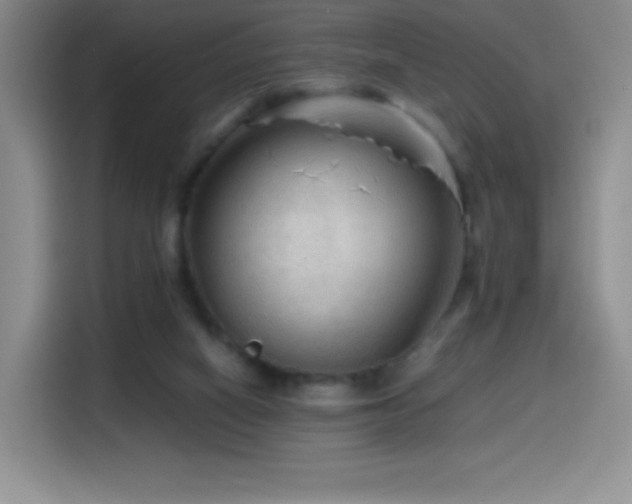 X0000114600066200910191627