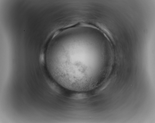 X0000114600067200910191627