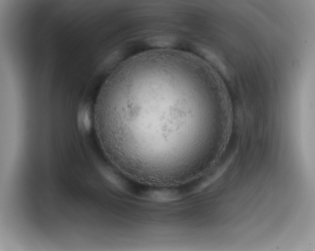 X0000114600069200910191627