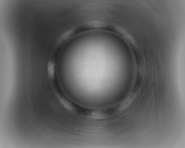 X0000114600070200910191627