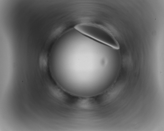 X0000114600072200910191627