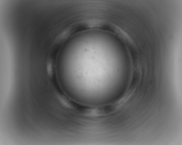 X0000114600074200910191627