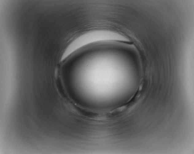 X0000114600076200910191627