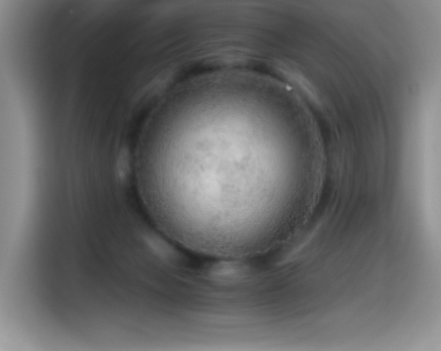 X0000114600077200910191627