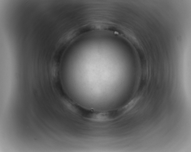 X0000114600078200910191627