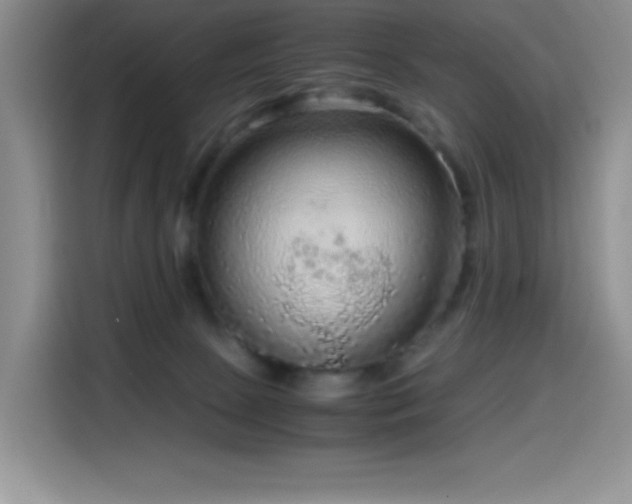 X0000114600081200910191627