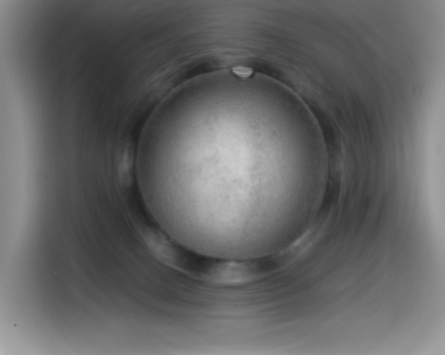 X0000114600082200910191627