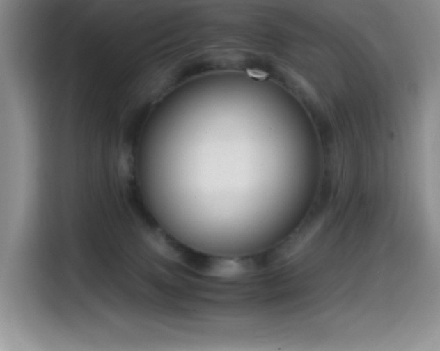 X0000114600083200910191627