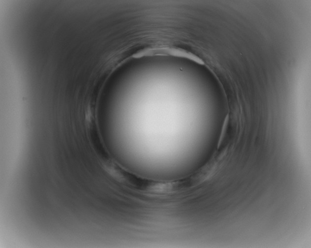 X0000114600084200910191627