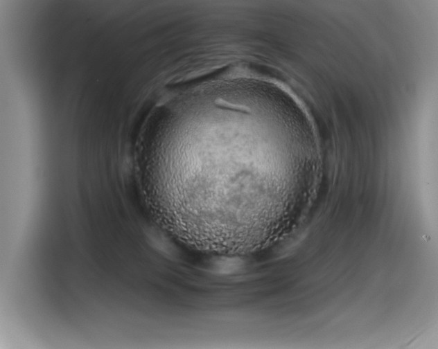 X0000114600085200910191627