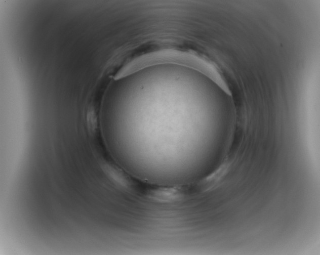 X0000114600086200910191627