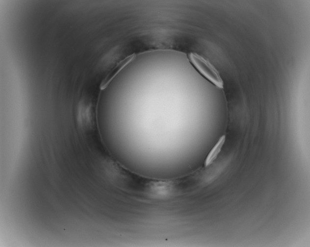 X0000114600088200910191627