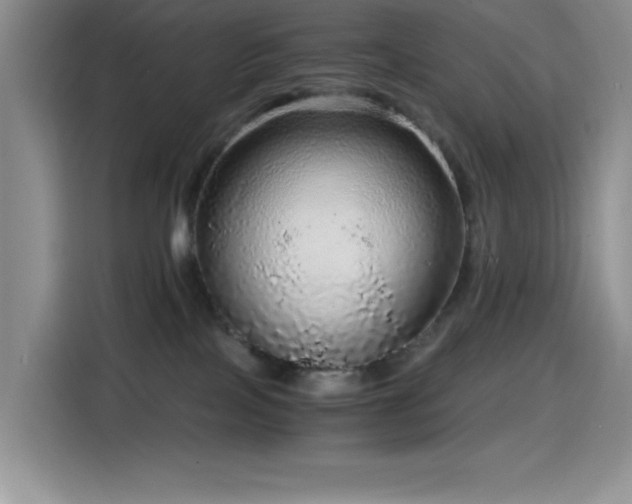 X0000114600089200910191627