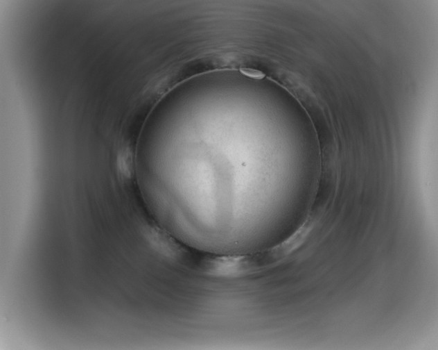 X0000114600090200910191627