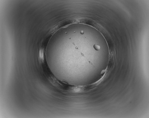 X0000114600094200910191627