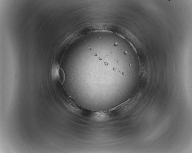 X0000114600095200910191627