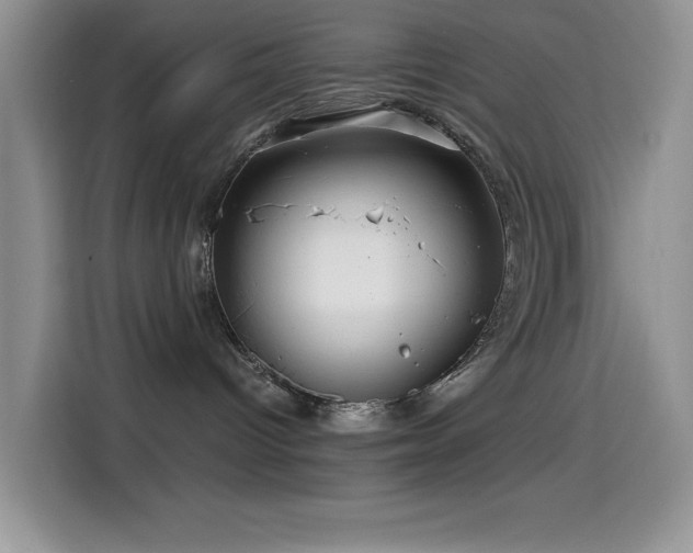 X0000114600096200910191627