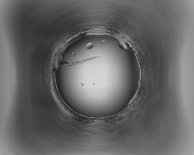 X0000114600097200910191626