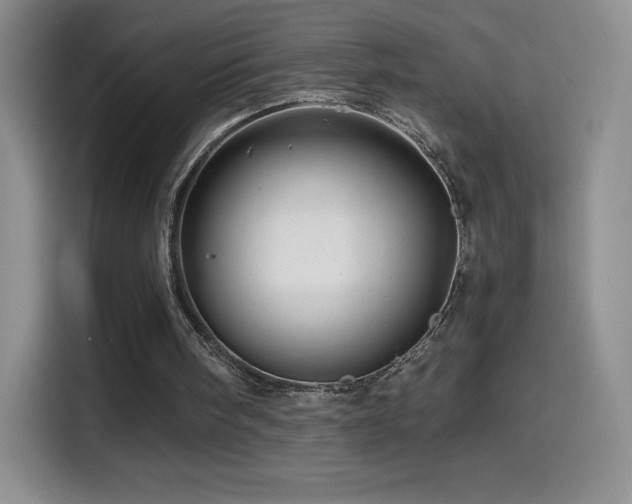 X0000114600098200910191626