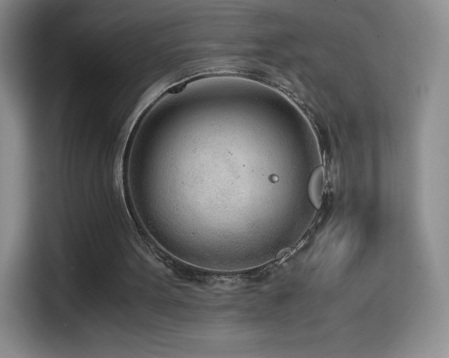 X0000114600099200910191626