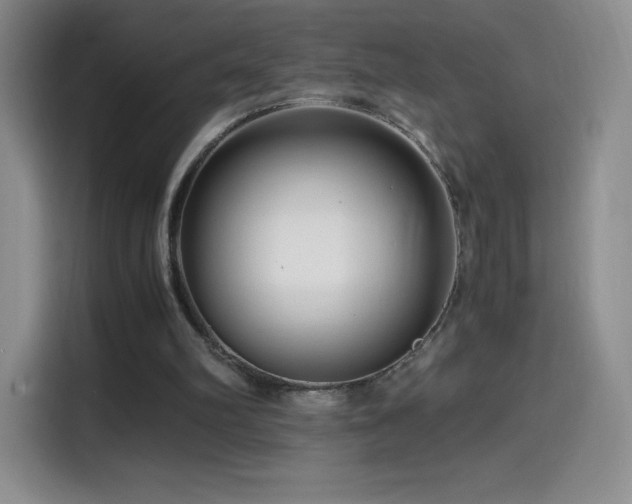 X0000114600102200910191626