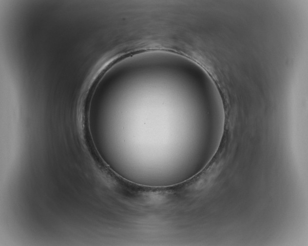 X0000114600103200910191626