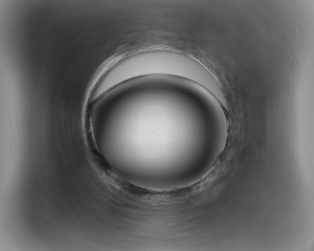 X0000114600104200910191626