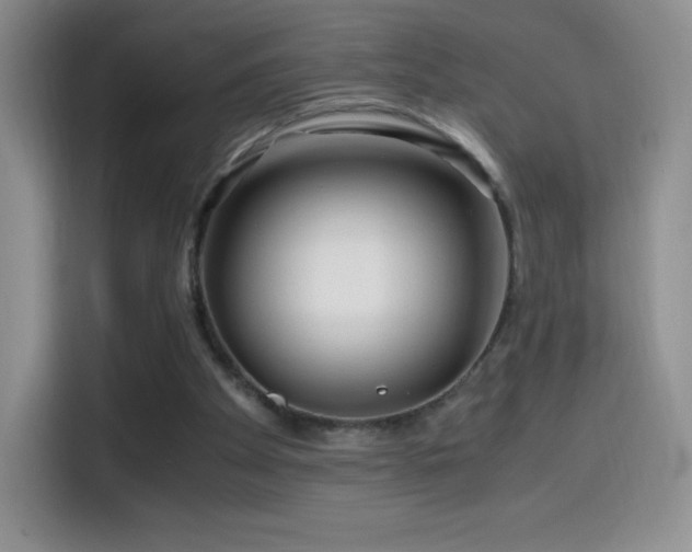 X0000114600105200910191626