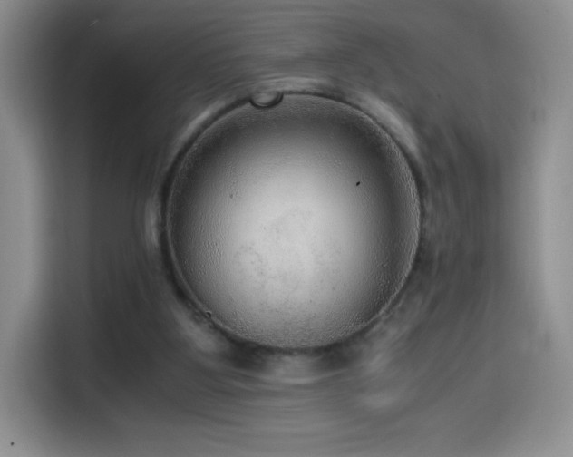 X0000114600107200910191626