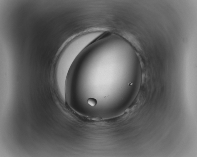 X0000114600108200910191626