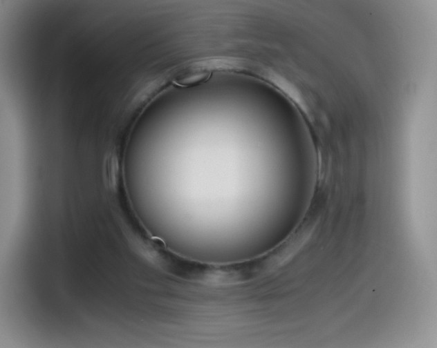 X0000114600109200910191626