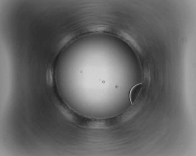 X0000114600110200910191626