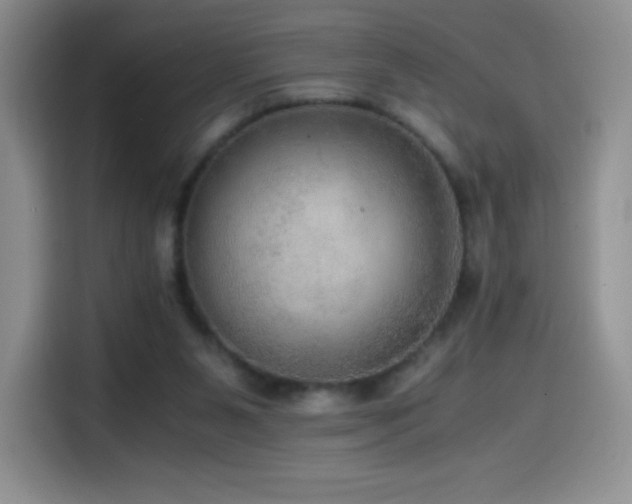 X0000114600111200910191626