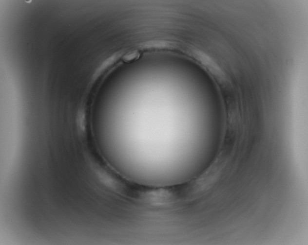 X0000114600112200910191626