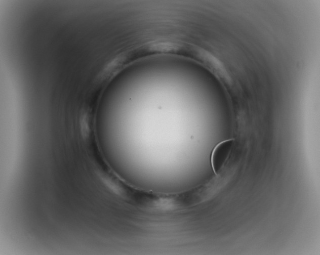 X0000114600114200910191626